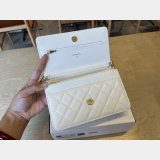 Top CC 25ss WOC Bag A96176