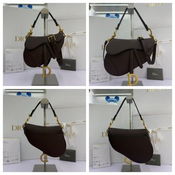 Classical dior Saddle Bag