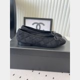 CC Ballet flats Suede