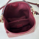 Gucci 7 Star GG Emblem Small Bucket 815118 Bag