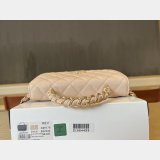 Top CC 25ss WOC Bag A96176