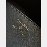 Best 1:1 AP4386 Hobo / AP4385 Vanity / AS1116 Mini CF / AP4986 Clutch Bag