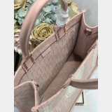 2026 DIOR Book tote