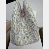 Small Dior Promenade Shopping Bag
