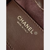 Spring Top Quality 1:1 AS5631 & AS5293 Summer 2026 25 Hobo Bag