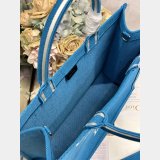 2026 DIOR Book tote