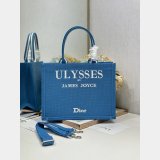2026 DIOR Book tote