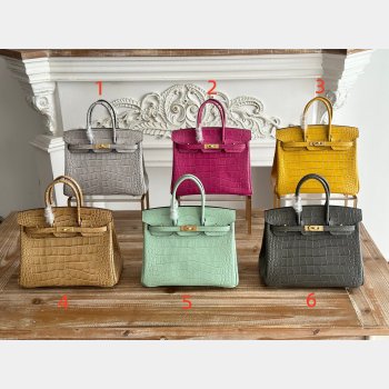Top Hermes 25CM Croco Vein birkin Bag