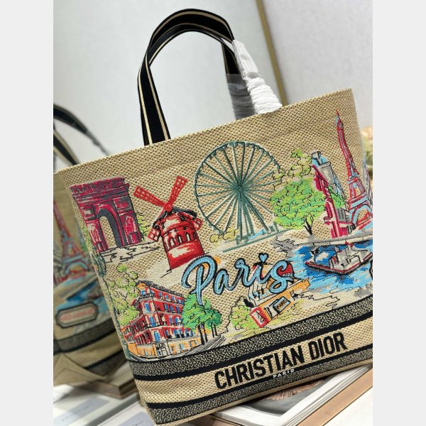 Dior Souvenir Soft Dior Book Tote PAIRS