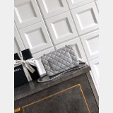 2026 CC Classic 1112 bag